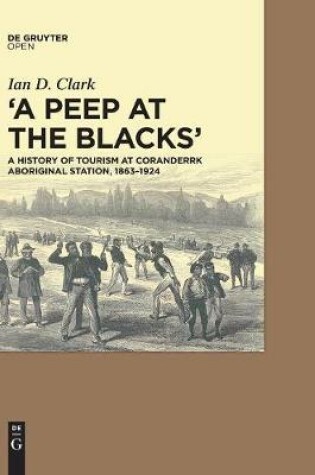 Cover of A Peep at the Blacks'