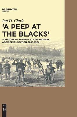 Book cover for A Peep at the Blacks'