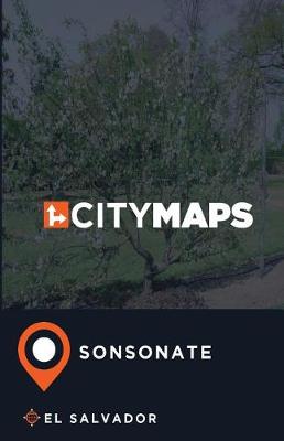 Book cover for City Maps Sonsonate El Salvador