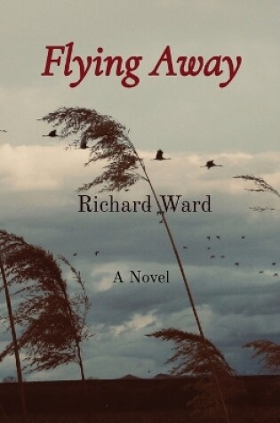 Cover of Flying Away