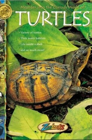 Cover of Turtles