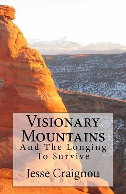 Book cover for Visionary Mountains