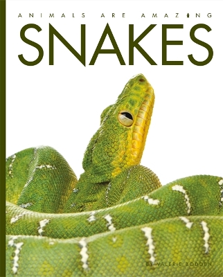 Book cover for Animals Are Amazing: Snakes
