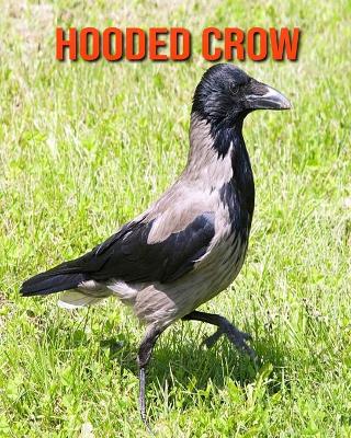 Book cover for Hooded Crow