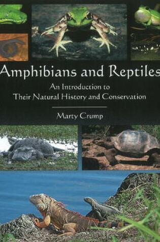 Cover of Amphibians & Reptiles