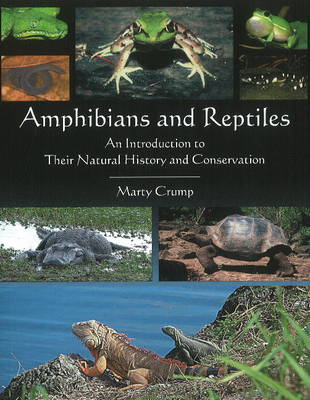 Book cover for Amphibians & Reptiles