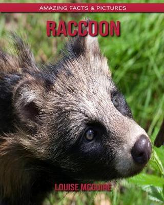 Book cover for Raccoon