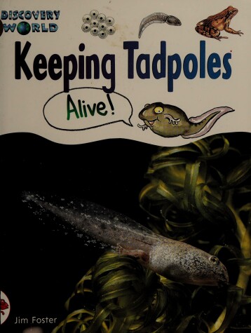 Book cover for Dw-2 Rd Keeping Tadpoles Is