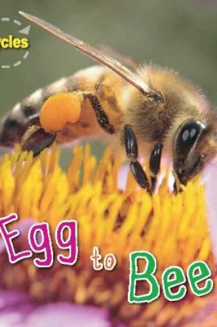 Cover of Egg to Bee