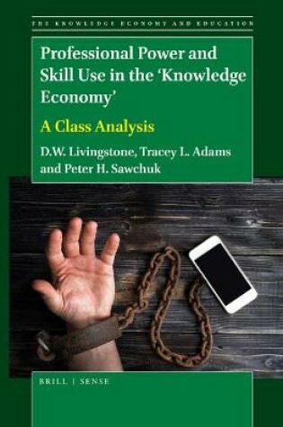 Cover of Professional Power and Skill Use in the 'Knowledge Economy'