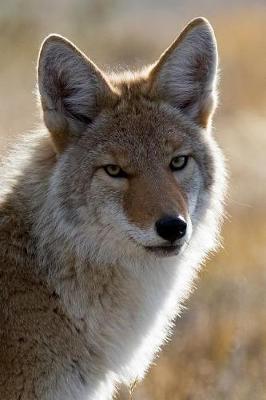 Book cover for Handsome Coyote Portrait Journal