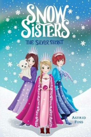 Cover of The Silver Secret