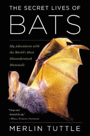 Cover of The Secret Lives of Bats