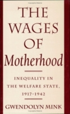 Book cover for The Wages of Motherhood