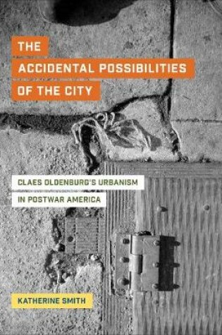 Cover of The Accidental Possibilities of the City