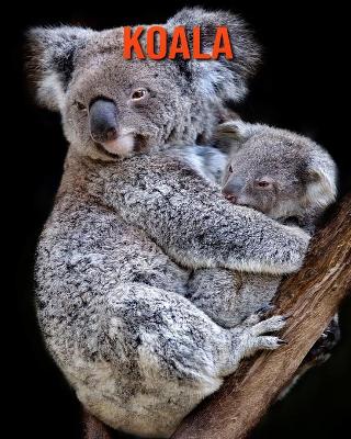 Book cover for Koala