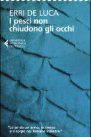 Cover of I Pesci Non Chiudono Gli Occhi - Paperback Edition