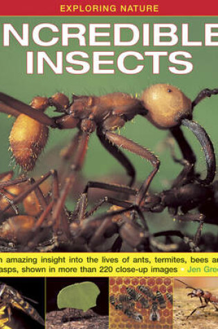 Cover of Exploring Nature: Incredible Insects