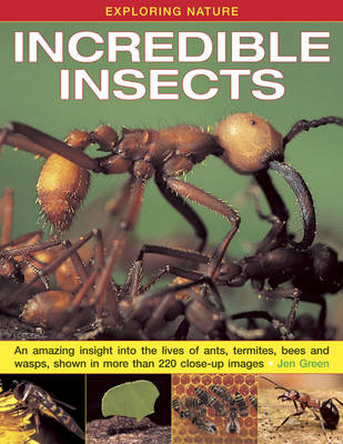 Book cover for Exploring Nature: Incredible Insects