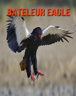 Book cover for Bateleur Eagle