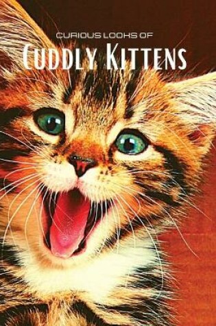 Cover of Curious looks of Cuddly Kittens