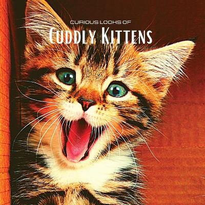 Book cover for Curious looks of Cuddly Kittens