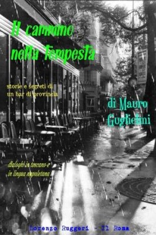 Cover of Il cammino nella tempesta