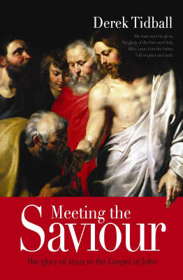 Book cover for Meeting the Saviour