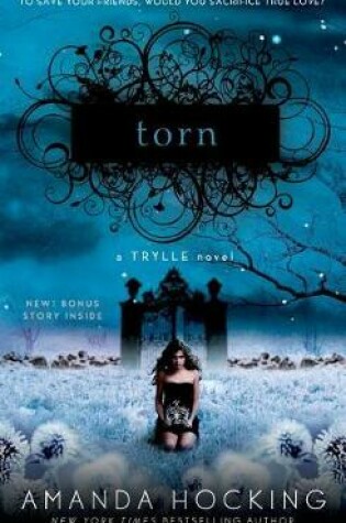 Cover of Torn