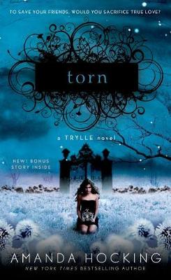 Book cover for Torn