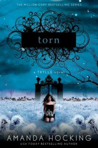 Cover of Torn