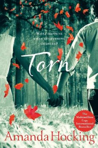 Cover of Torn