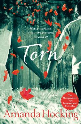 Book cover for Torn