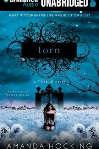 Cover of Torn