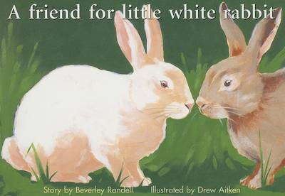 Book cover for A Friend for Little White Rabbit