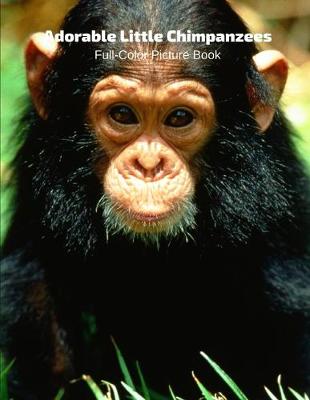 Book cover for Adorable Little Chimpanzees Full-Color Picture Book