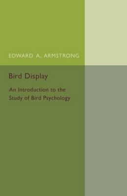 Book cover for Bird Display