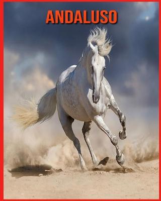 Book cover for Andaluso