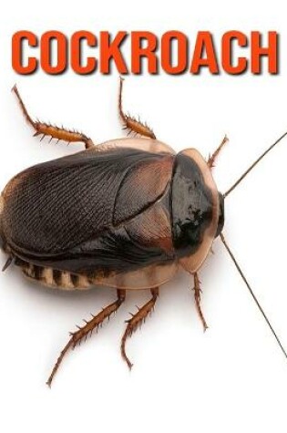 Cover of Cockroach