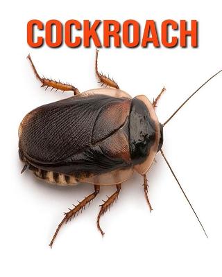 Book cover for Cockroach