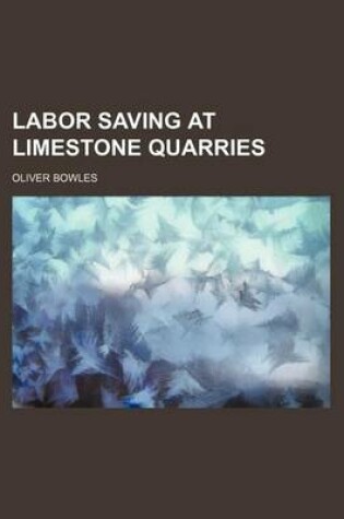 Cover of Labor Saving at Limestone Quarries