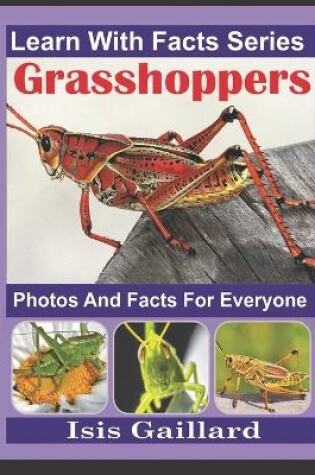 Cover of Grasshoppers Photos and Facts for Everyone