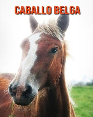 Book cover for Caballo belga