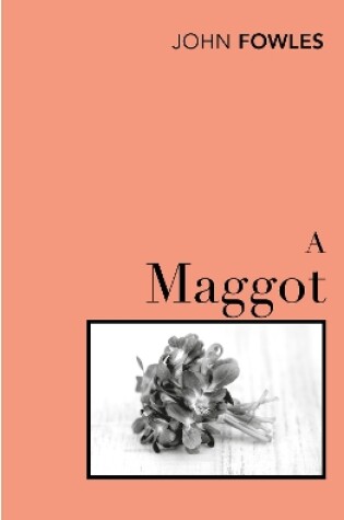 Cover of A Maggot
