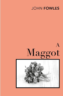 Book cover for A Maggot
