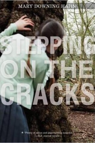 Cover of Stepping on the Cracks