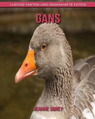 Book cover for Gans