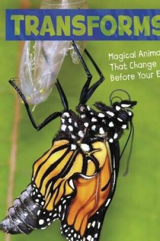 Cover of Magical Animals Pack A of 4