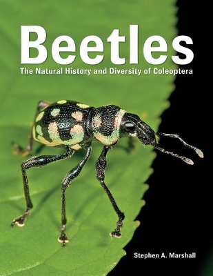 Book cover for Beetles