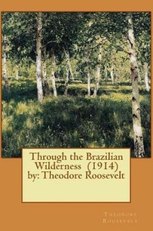 Cover of Through the Brazilian Wilderness (1914) by